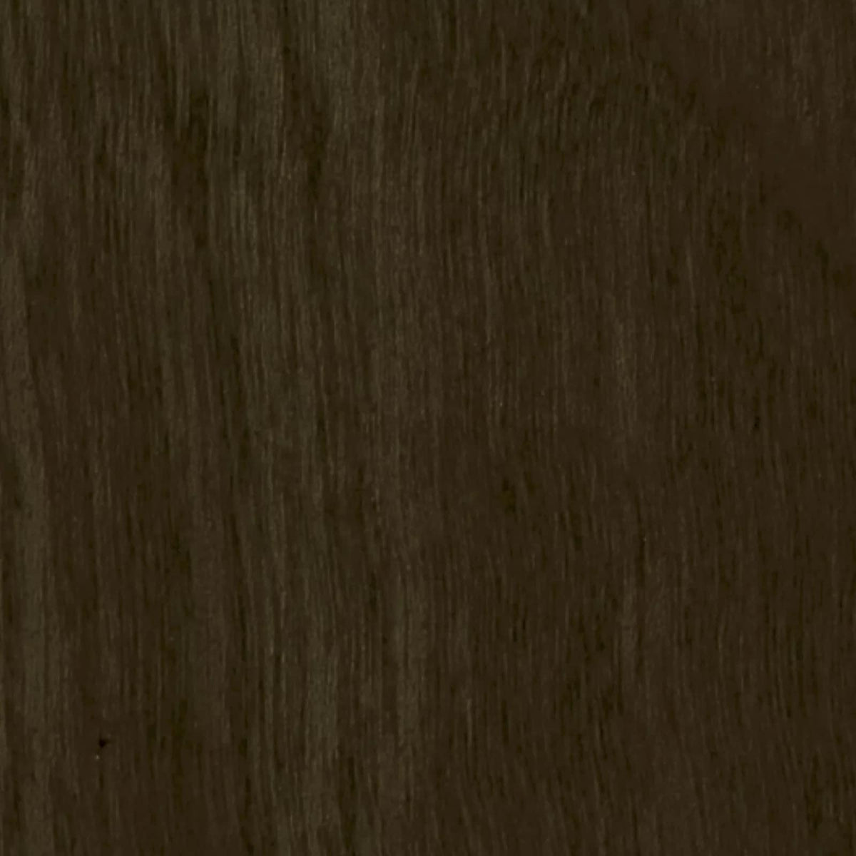 Menorca Dining Chair